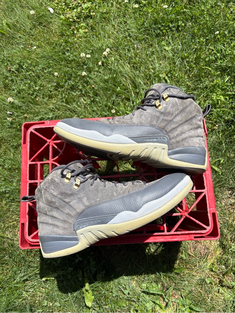 Air Jordan 12 dark grey 2017 men’s size 13